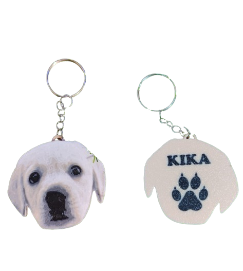 Llaveros Mascotas Personalizados